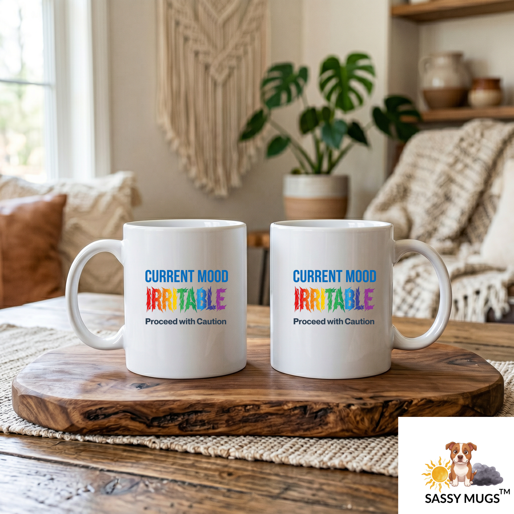 Current Mood Irritable Proceed with Caution Mug – Funny Emotional Rainbow Coffee Cup, Sarcastic Mental Health Gift - Image 5